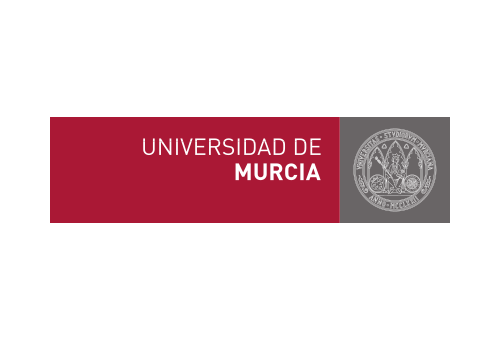 Un estudio de competencias transversales en la Universidad de Murcia
